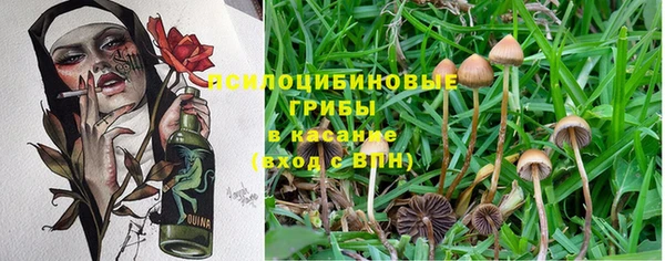 дурь Тольятти
