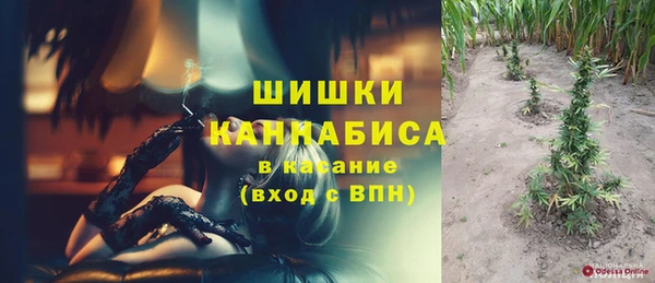 дмт Барнаул