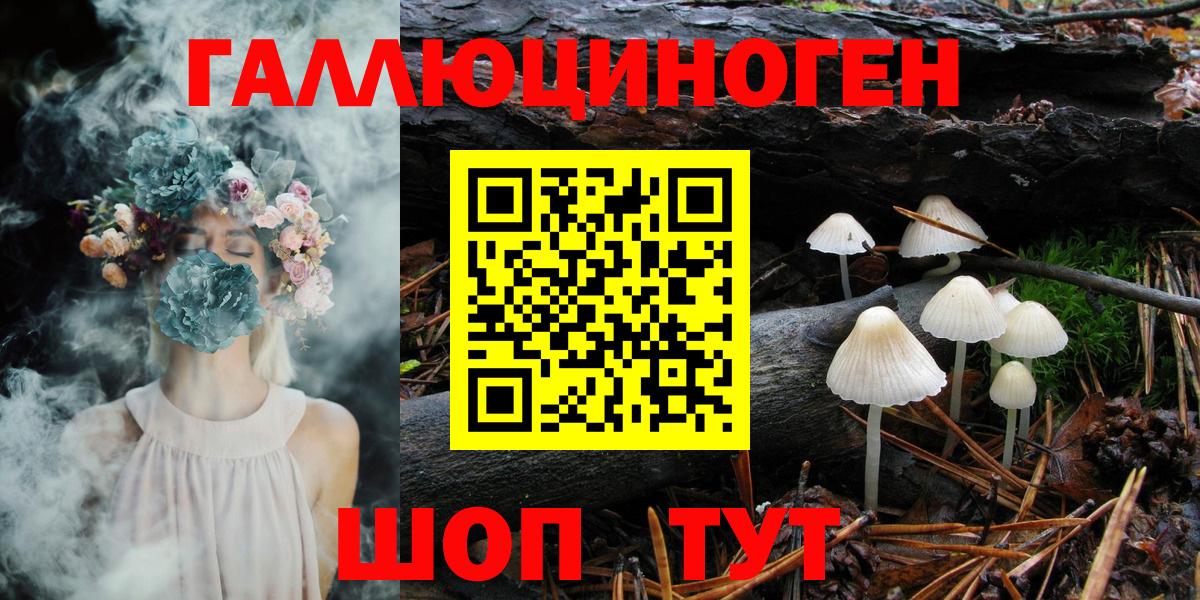 Псилоцибиновые грибы Psilocybe  купить закладку  Кисловодск  Вход с VPN 